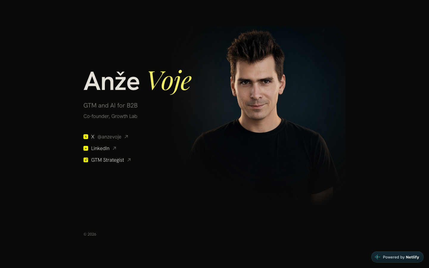 Anže Voje homepage screenshot
