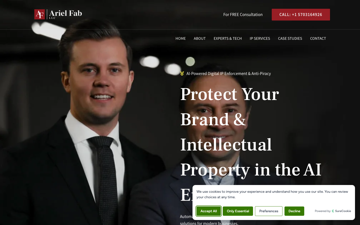 ArielFab IP 首页截图