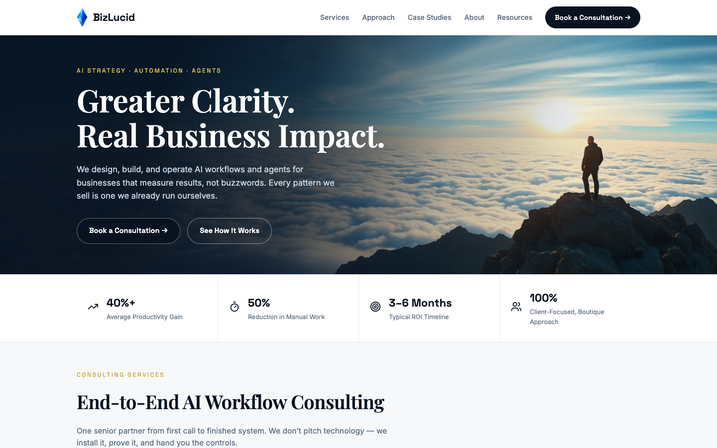 BizLucid homepage screenshot