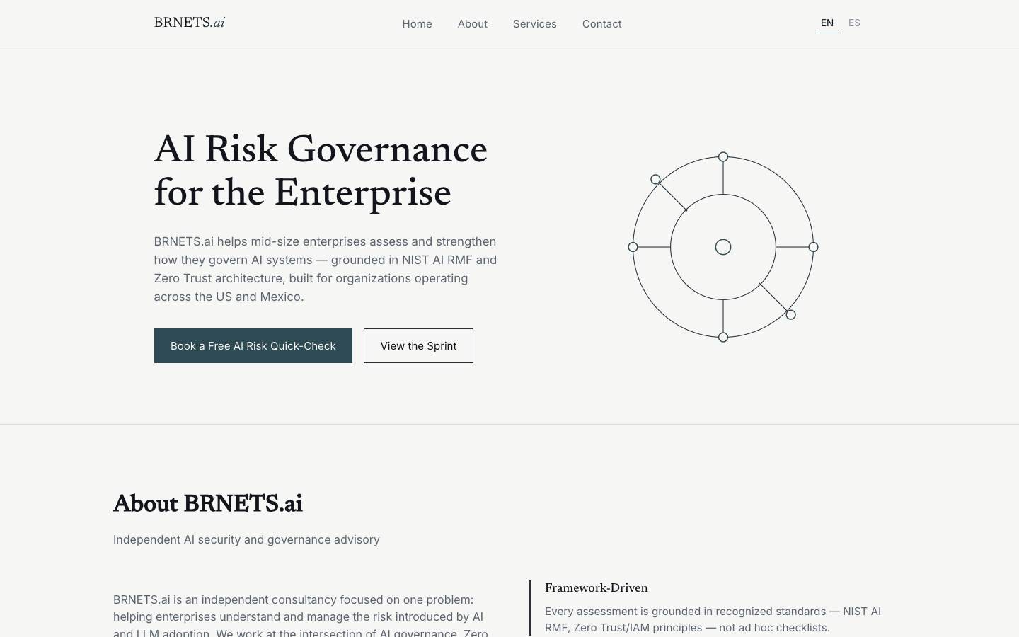 BRNETS.ai homepage screenshot