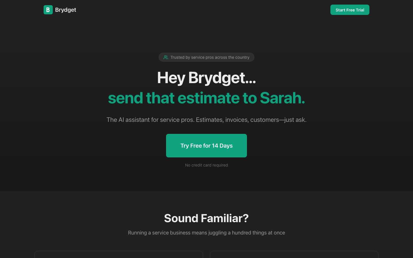 Brydget homepage screenshot