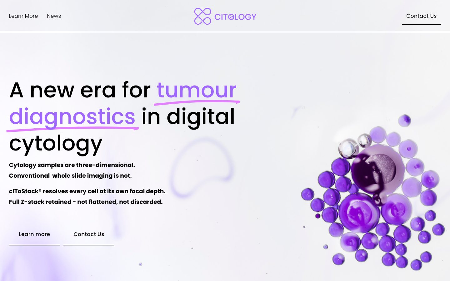 Citology 首页截图