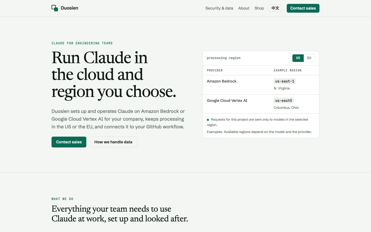 Duosien homepage screenshot