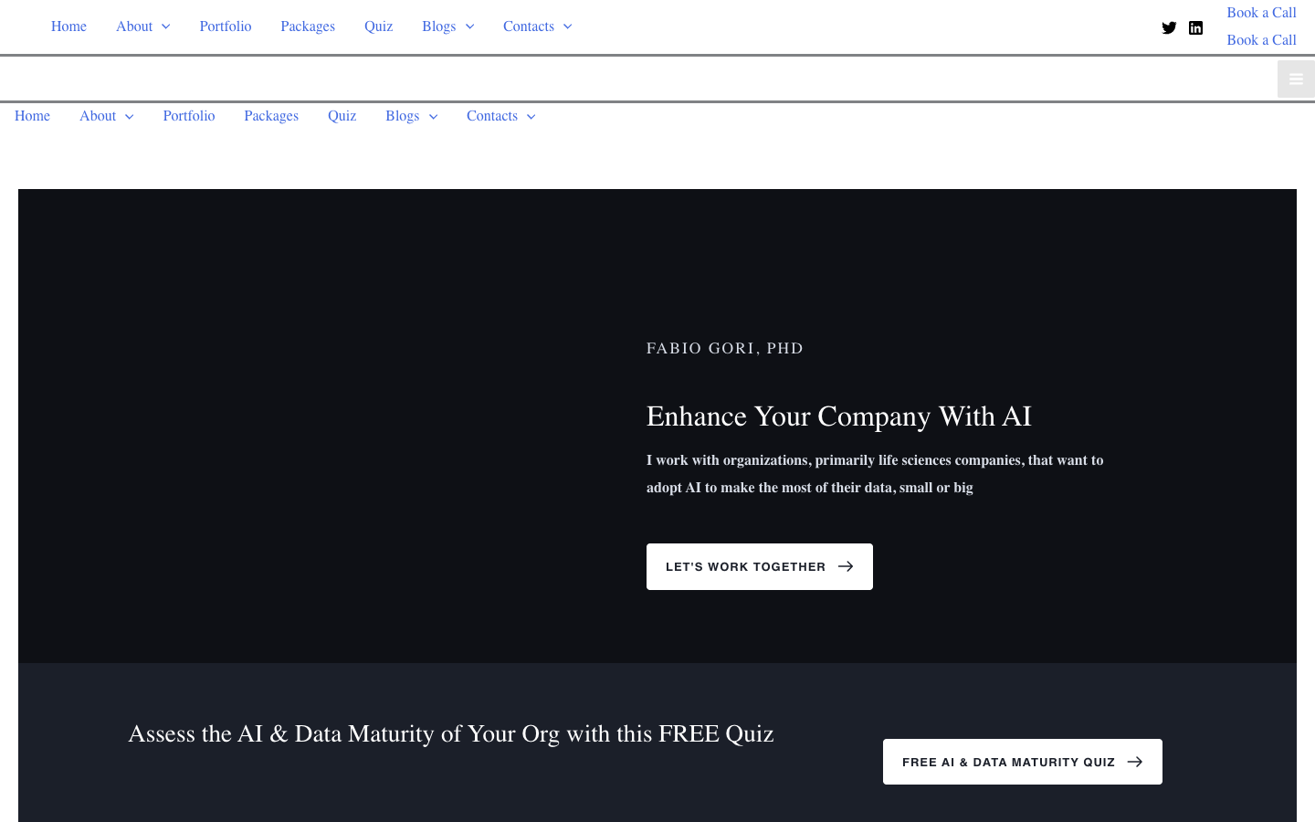 Fabio Gori homepage screenshot
