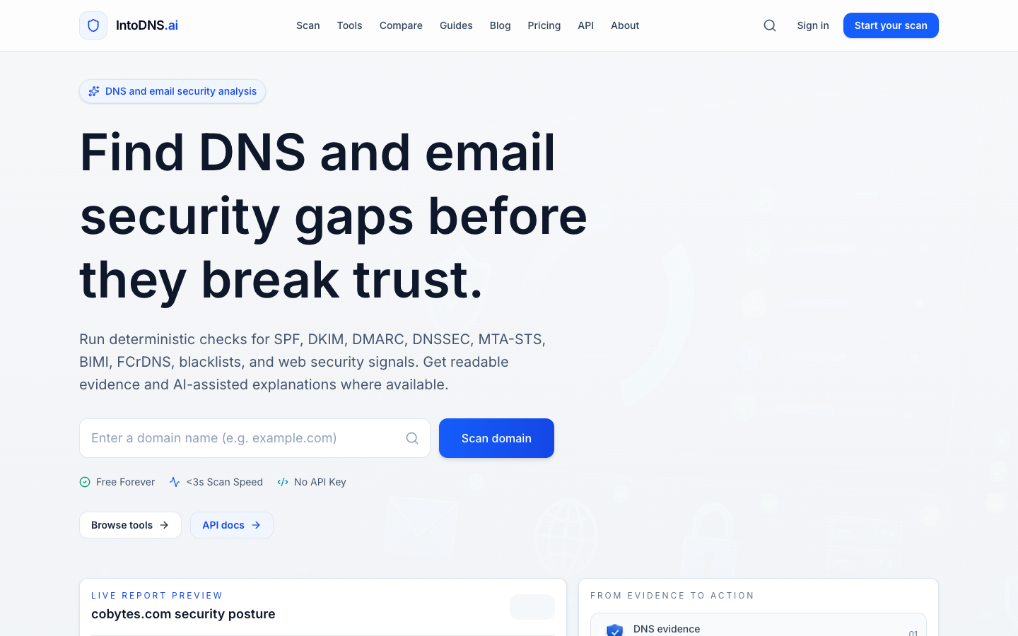 IntoDNS.ai landing_page