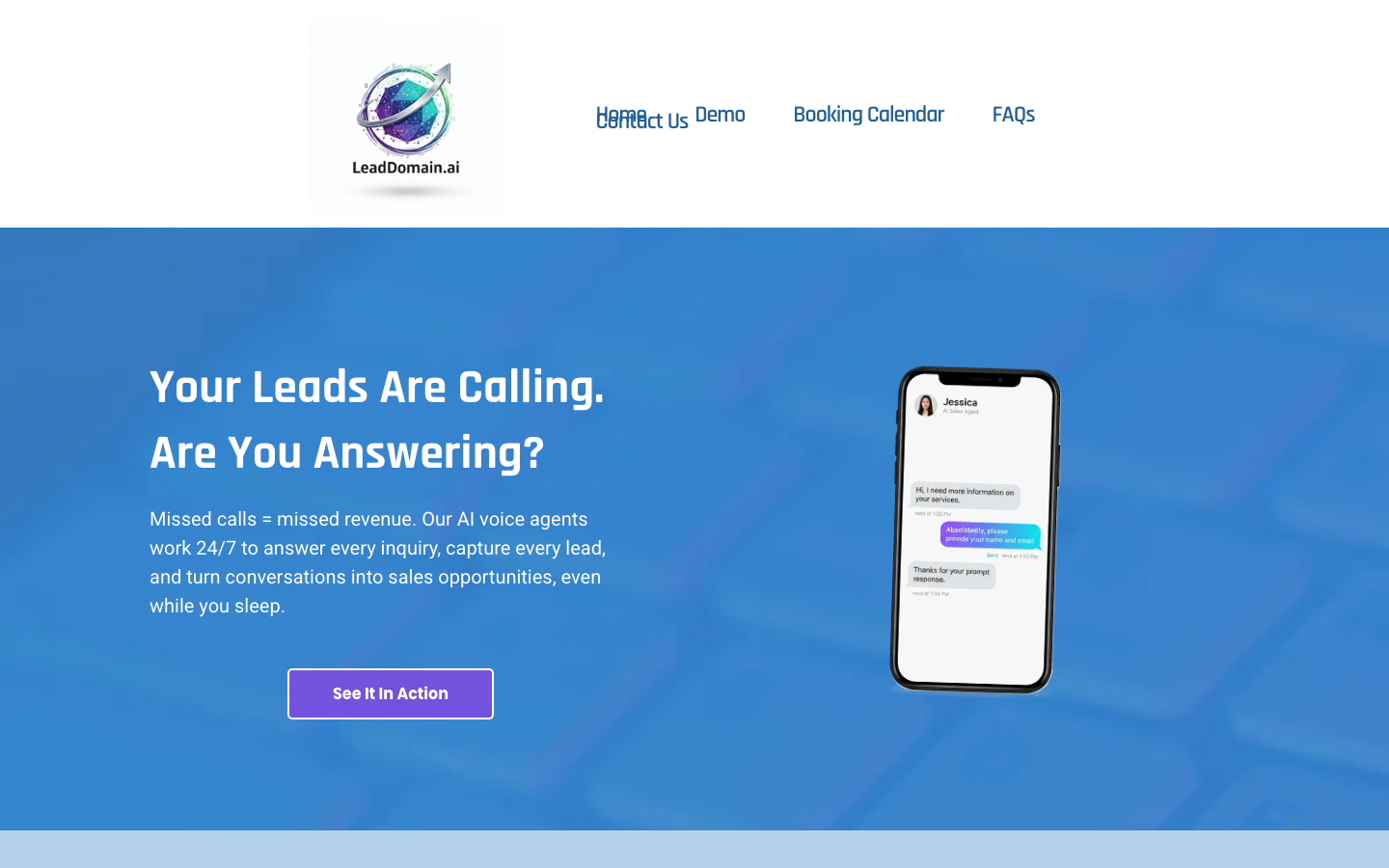 LeadDomain landing_page
