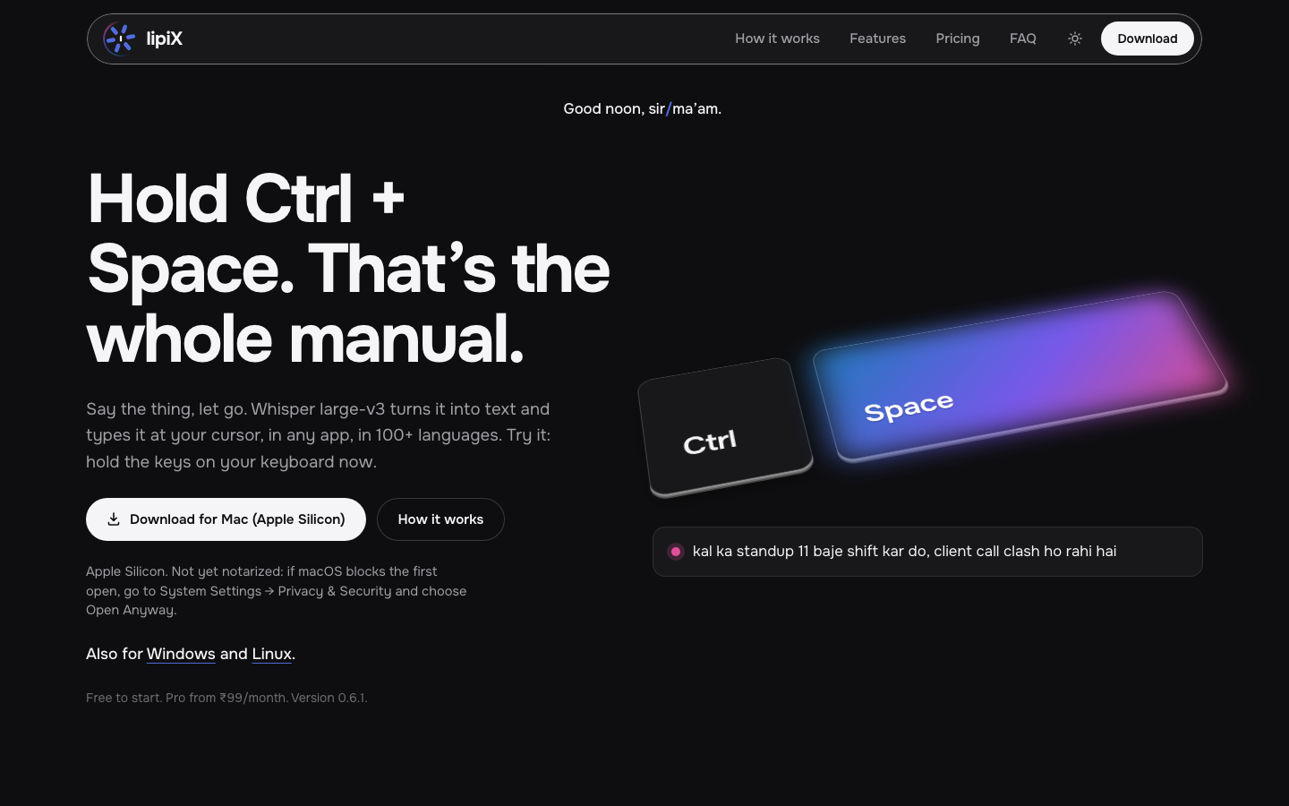 lipiX homepage screenshot