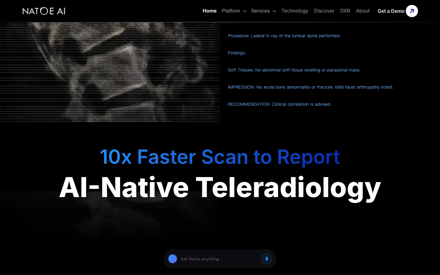 Natoe AI landing_page