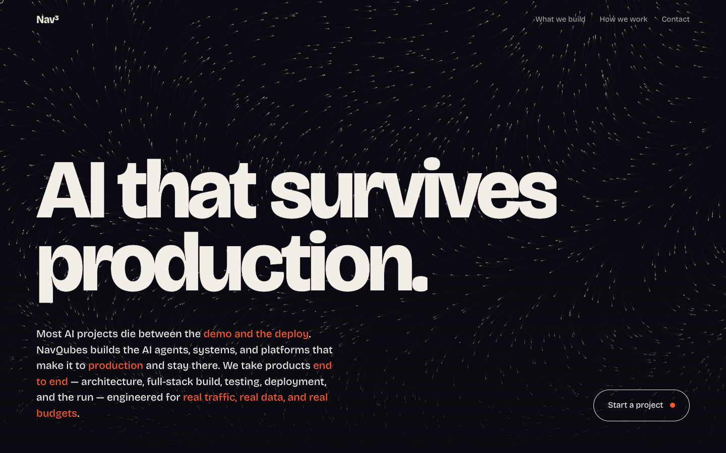 NavQubes homepage screenshot
