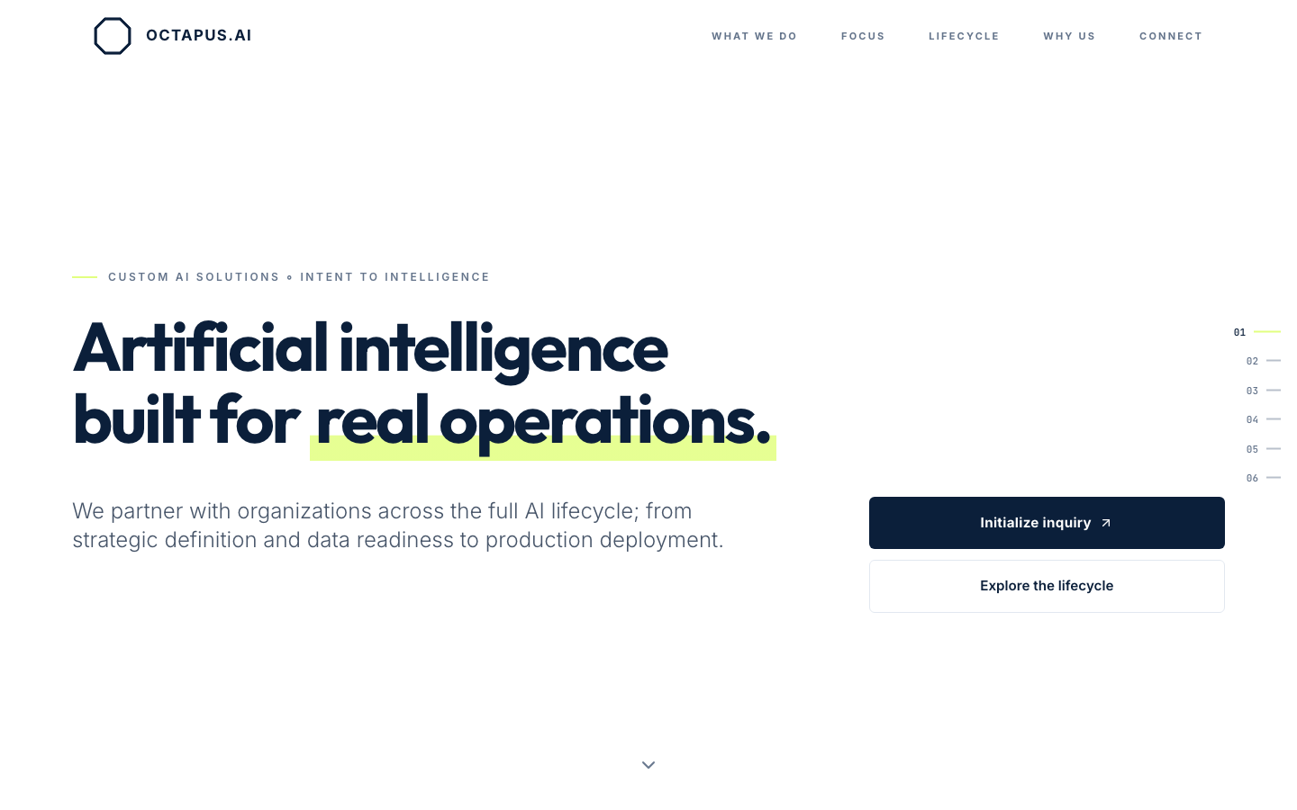 Octapus AI 首页截图