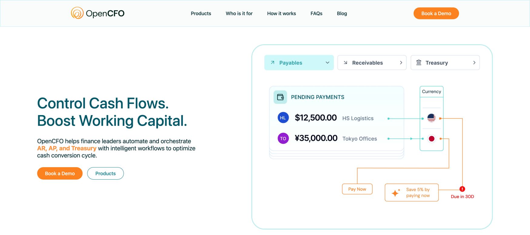 OpenCFO landing_page