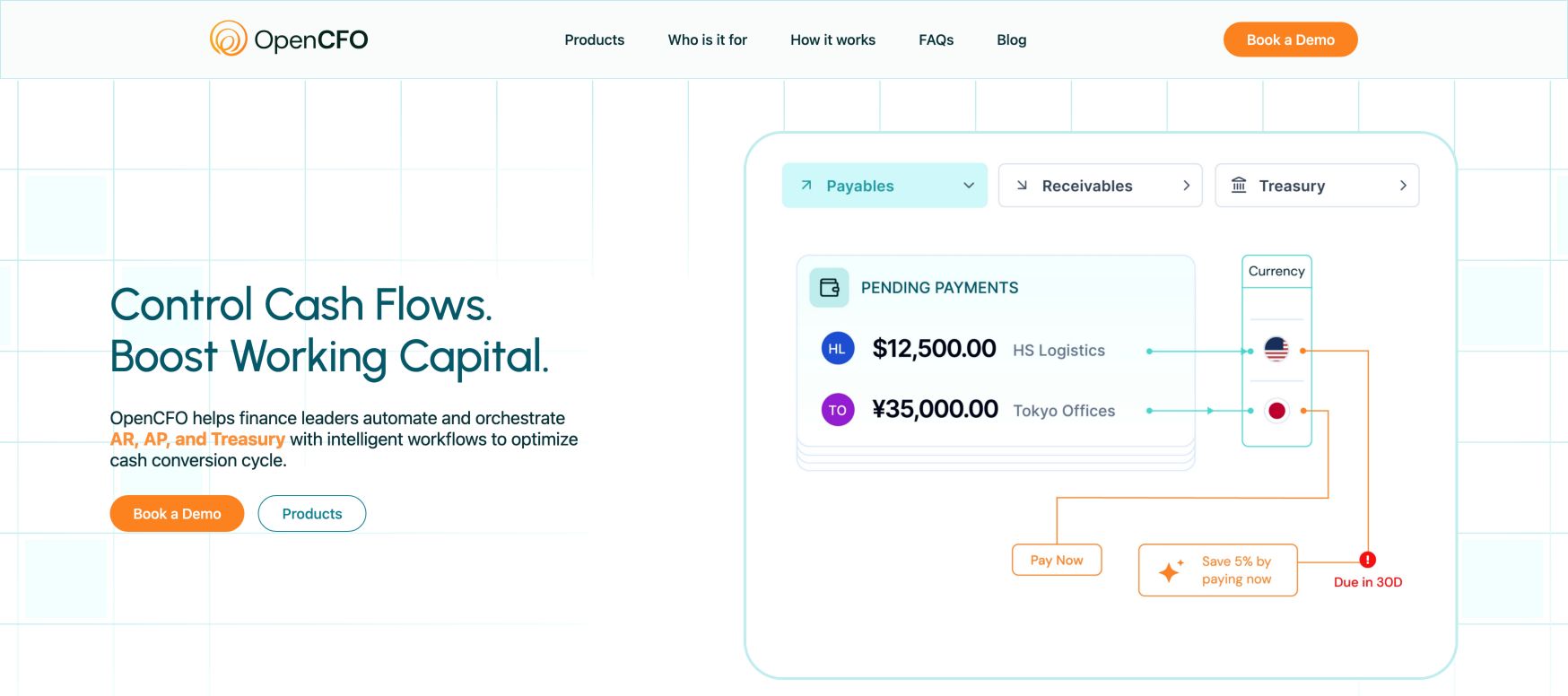 OpenCFO landing_page
