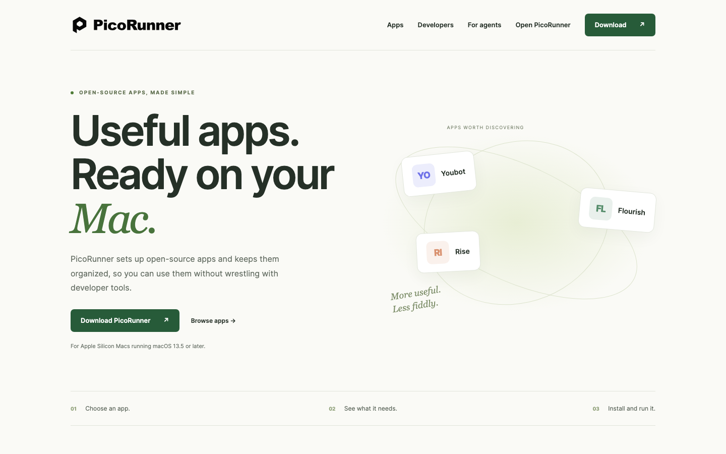 PicoRunner homepage screenshot