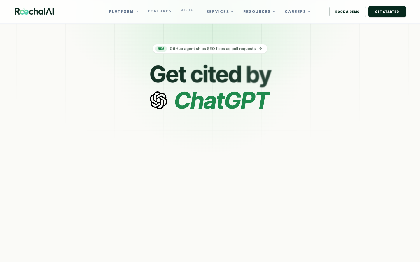 Raechal AI homepage screenshot