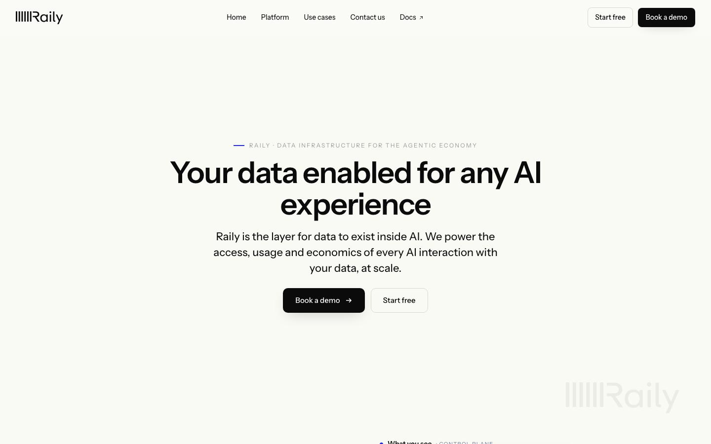 Raily homepage screenshot