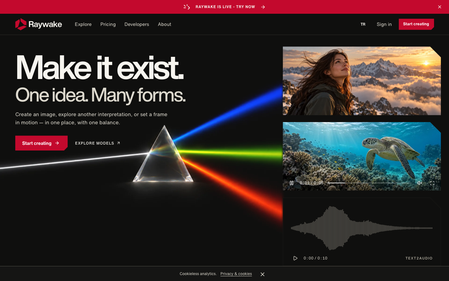 Raywake homepage screenshot
