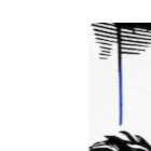 Skhokho Logo