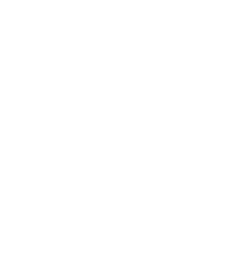 Synsera icon
