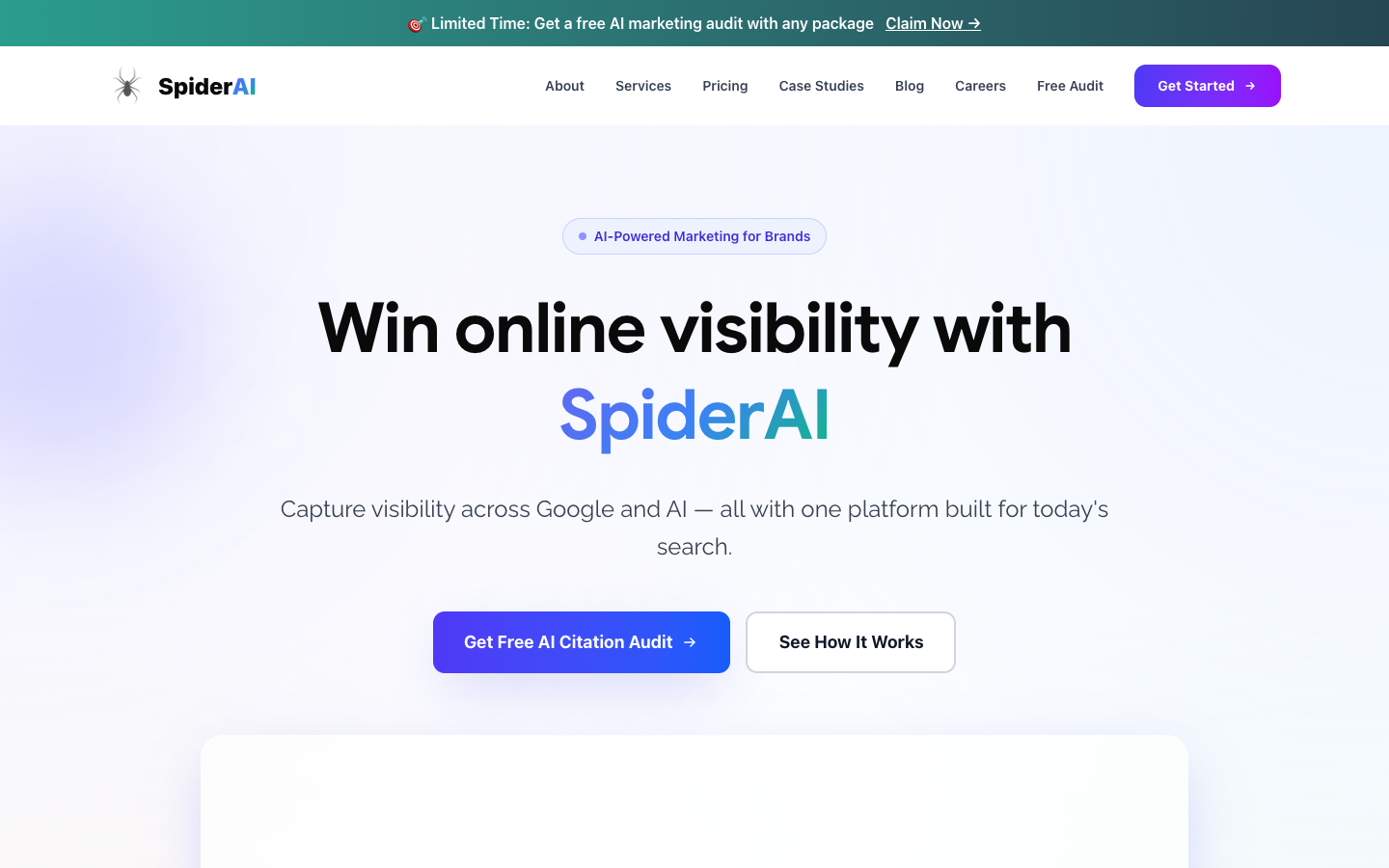 Spider AI homepage screenshot