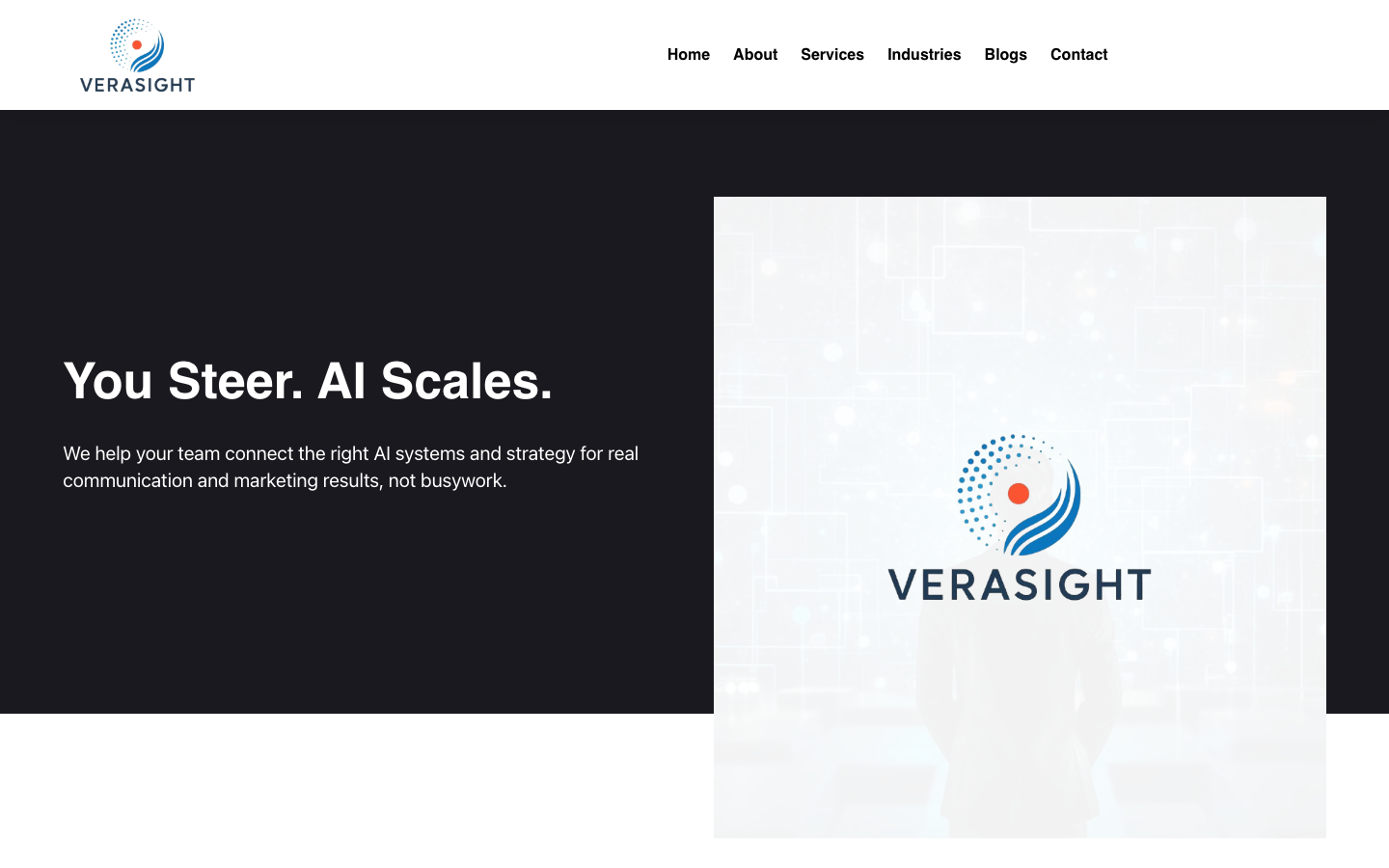 verasight homepage screenshot