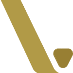 Vizyn icon