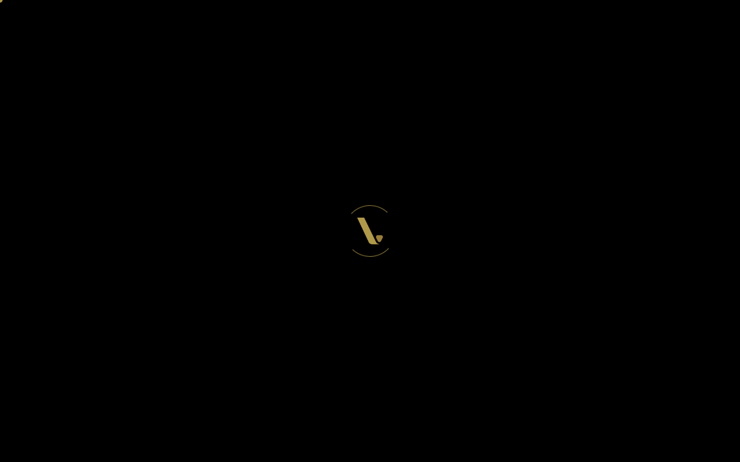 Vizyn homepage screenshot