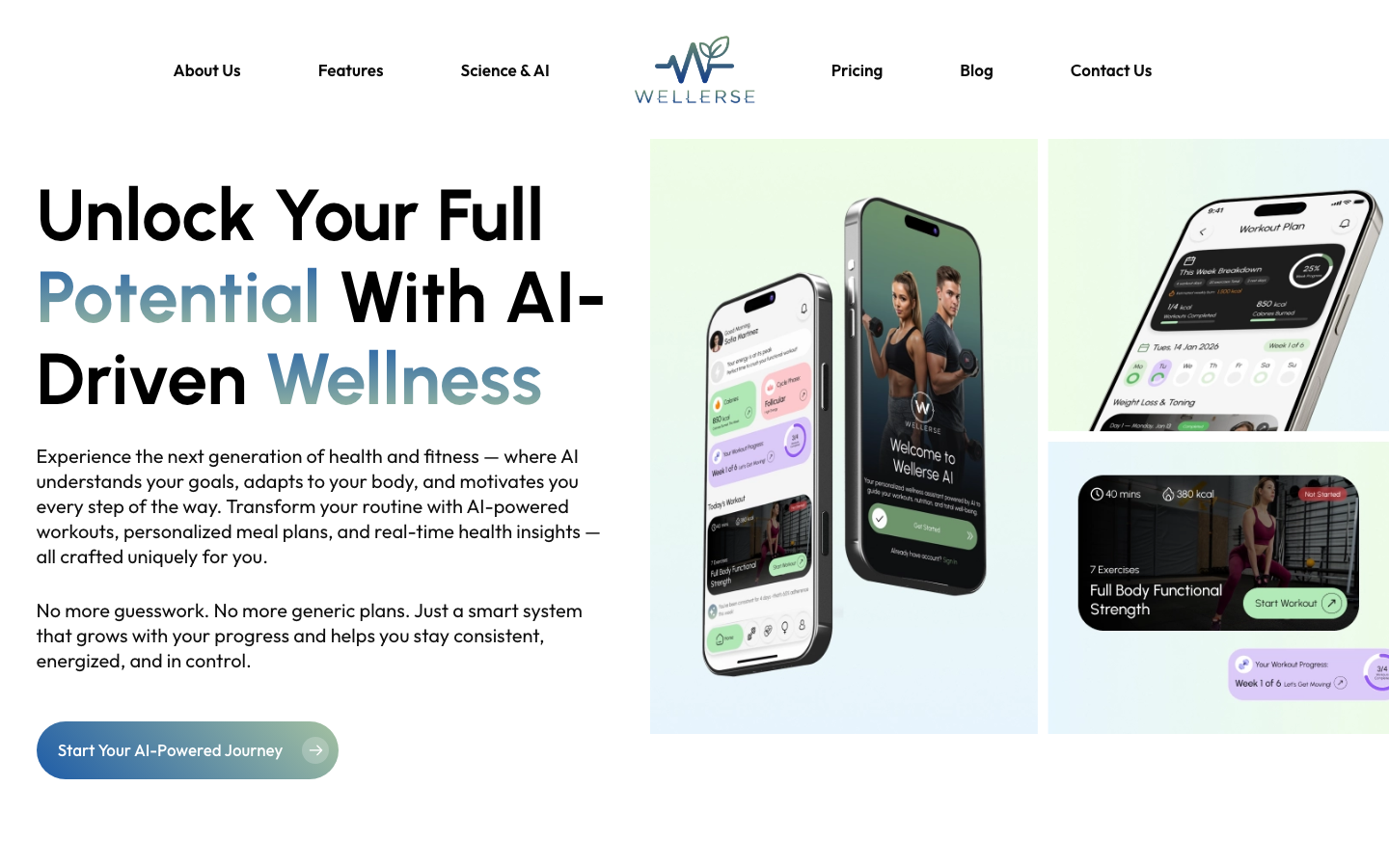 Wellerse homepage screenshot