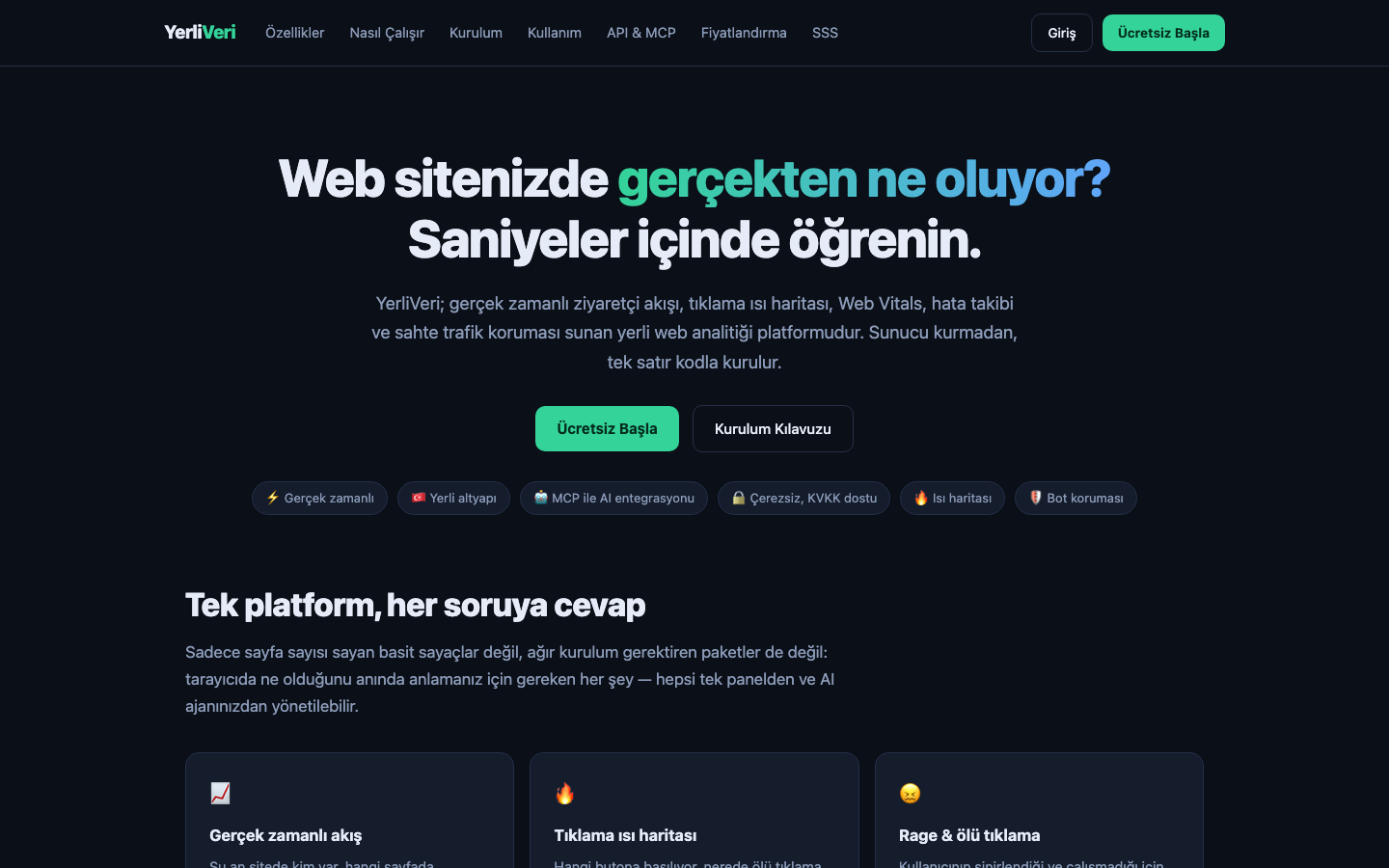 YerliVeri homepage screenshot